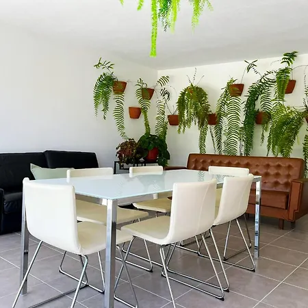 Dom wakacyjny Oliveira *